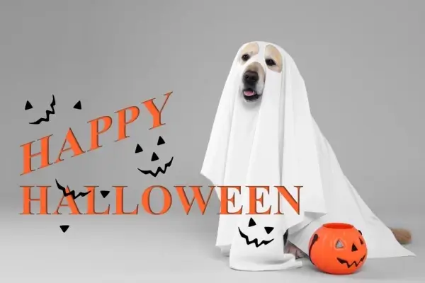 Happy Halloween from Global Mortgage